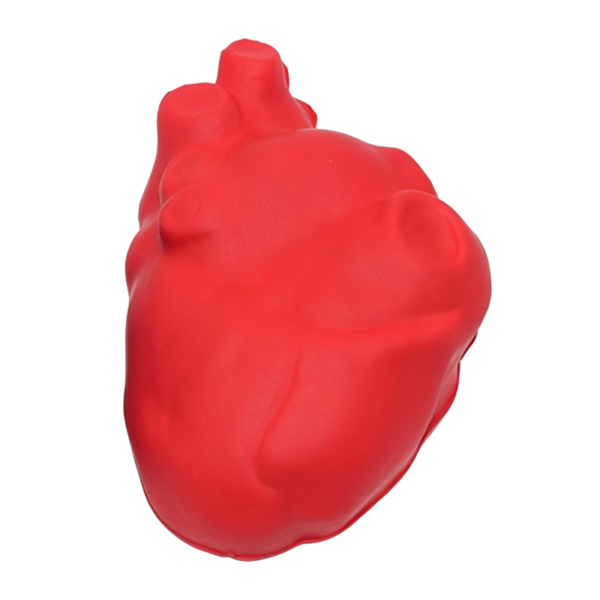 Human Organs Heart Shaped 9.5x6.5x4cm Stress Ball - Customizable PU Foam Anti-Stress Toy